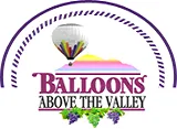 Balloons Above the Valley