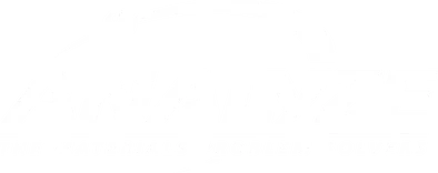 Analyzeinc