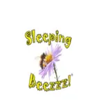 Sleeping Beezzz! Honey LLC
