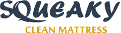 Squeaky Mattress Cleaning Adelaide
