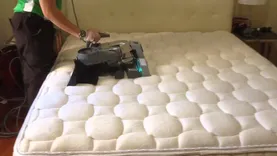 Mattress Cleaning Adelaide