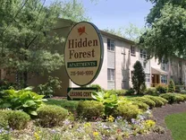 Hidden Forest
