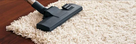 Carpet Cleaning Sunshine Coast