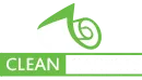 Clean Carpets