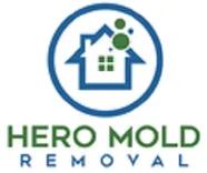 Hero Mold Removal of Norfolk