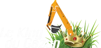 LE KING DU GAZON