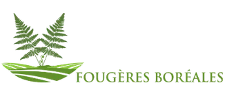 Les Fougères Boréales