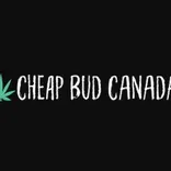 Cheap Bud Canada