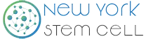 New York Stem Cell