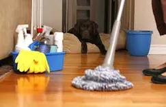 2 Good Cleaning Specialties