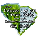 Pressure washing service Lexington - Professional Lawn Care