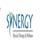Synergy Physical Therapy and Wellness