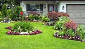Aaron's Tree & Landscaping Services
