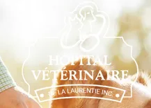 HÔPITAL VÉTÉRINAIRE DE LA LAURENTIE