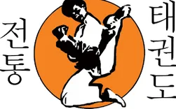 Traditional TaeKwon-Do South Tampa