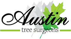Austin Tree Services