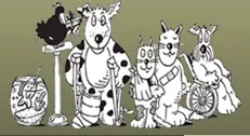 Airport Veterinary Center