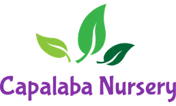 Capalabanursery
