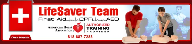Life Saver Team