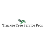 Truckee Tree Service Pros