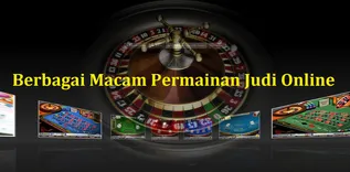 pt mamboe sejahtera