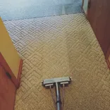 Timothy & Co. Professional Cleaning and Restoration