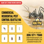 Ants Exterminators