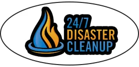 Disaster Cleanup Pingree