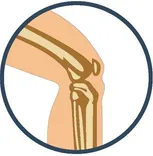 Joint Relief Institute