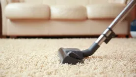 Carpet Cleaning Success