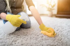 Drcarpet
