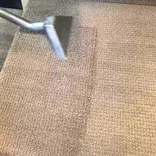 Carpet cleaning in irvine