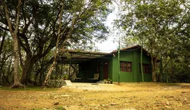 BAMBOO BANKS