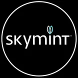 Skymint Flint