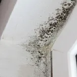 State Wide Waterproofing