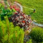 Darwin Landscapers