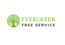 Evergreen Tree Service
