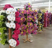 Floral Connection