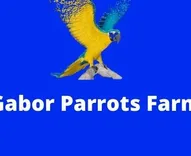 Gabor Parrots Farm