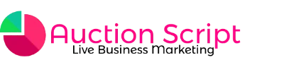 Auction Script
