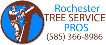 Rochester Tree Service Pros