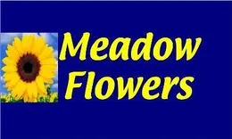 Meadow Flowers