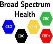 Broad Spectrum Health Center