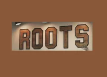 Roots Salon and Wellness