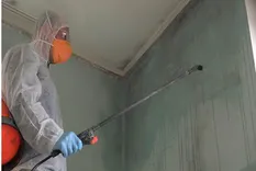 Mold Remediation Spokane WA