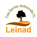 Leinad Tree Service