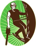 Ballarat Tree Removal