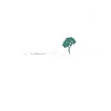 San Bernardino Tree Services