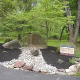Marrazzo's North River LandscapeLandscape in Wycombe, PA
