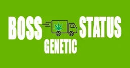 Boss Status Genetic
